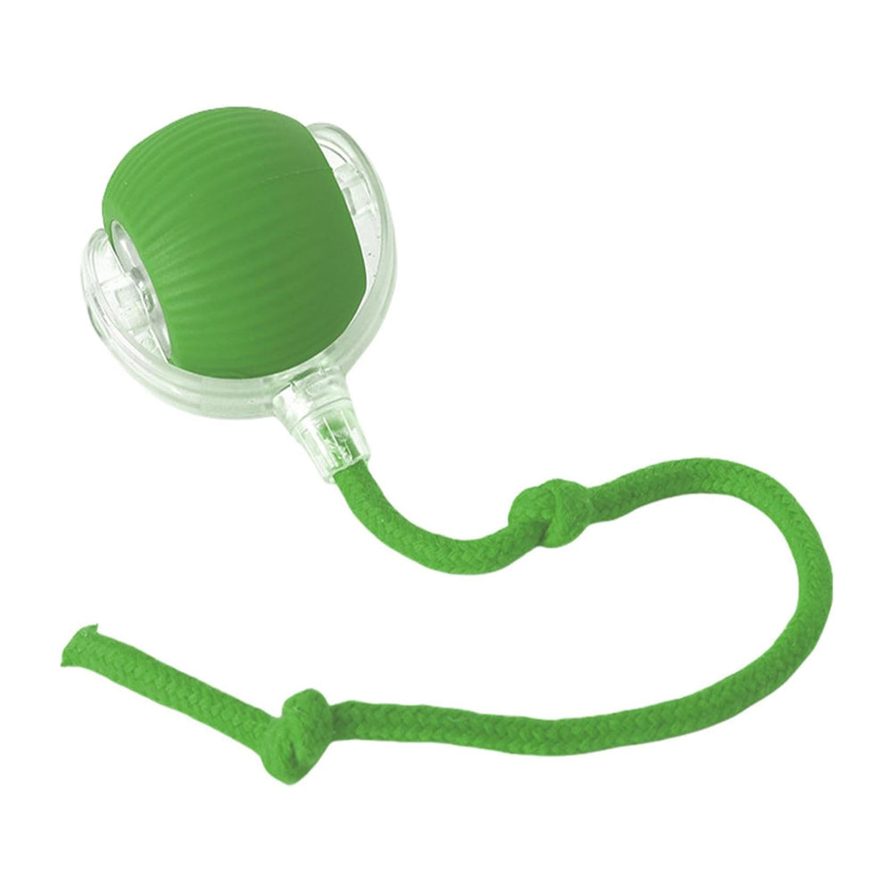 FurBuddy Smart Rolling Ball