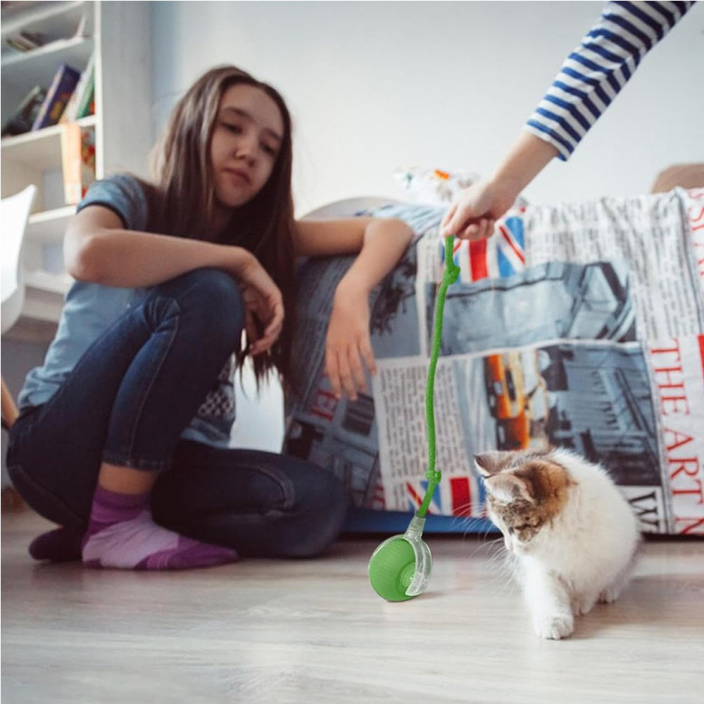 FurBuddy Smart Rolling Ball