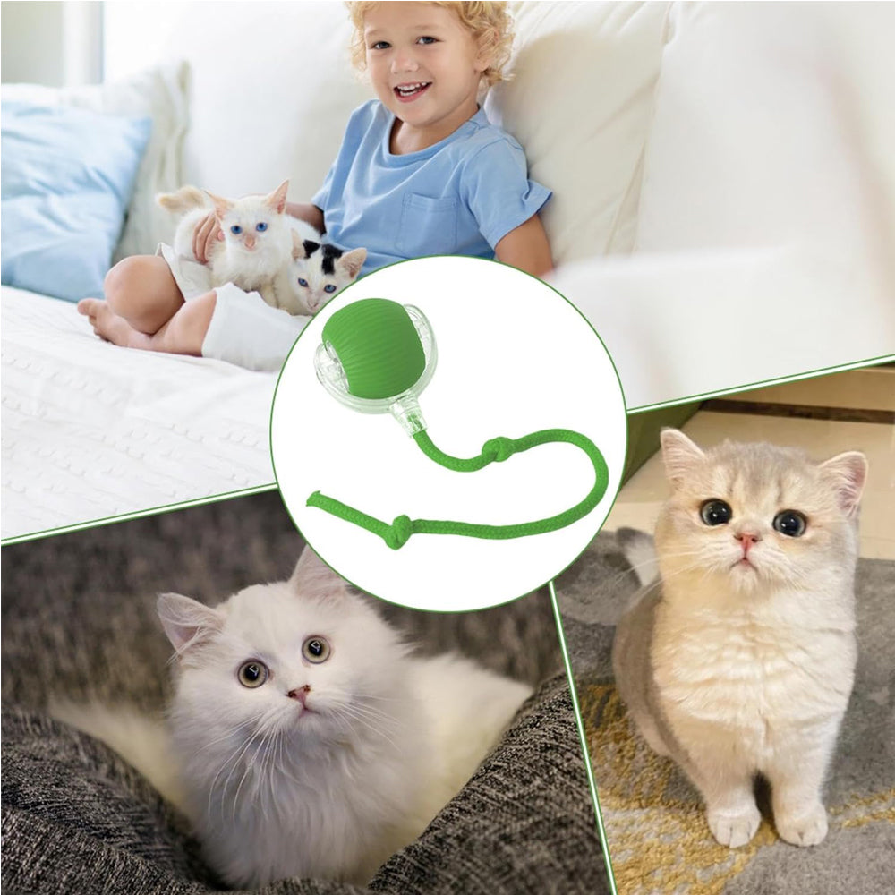 FurBuddy Smart Rolling Ball