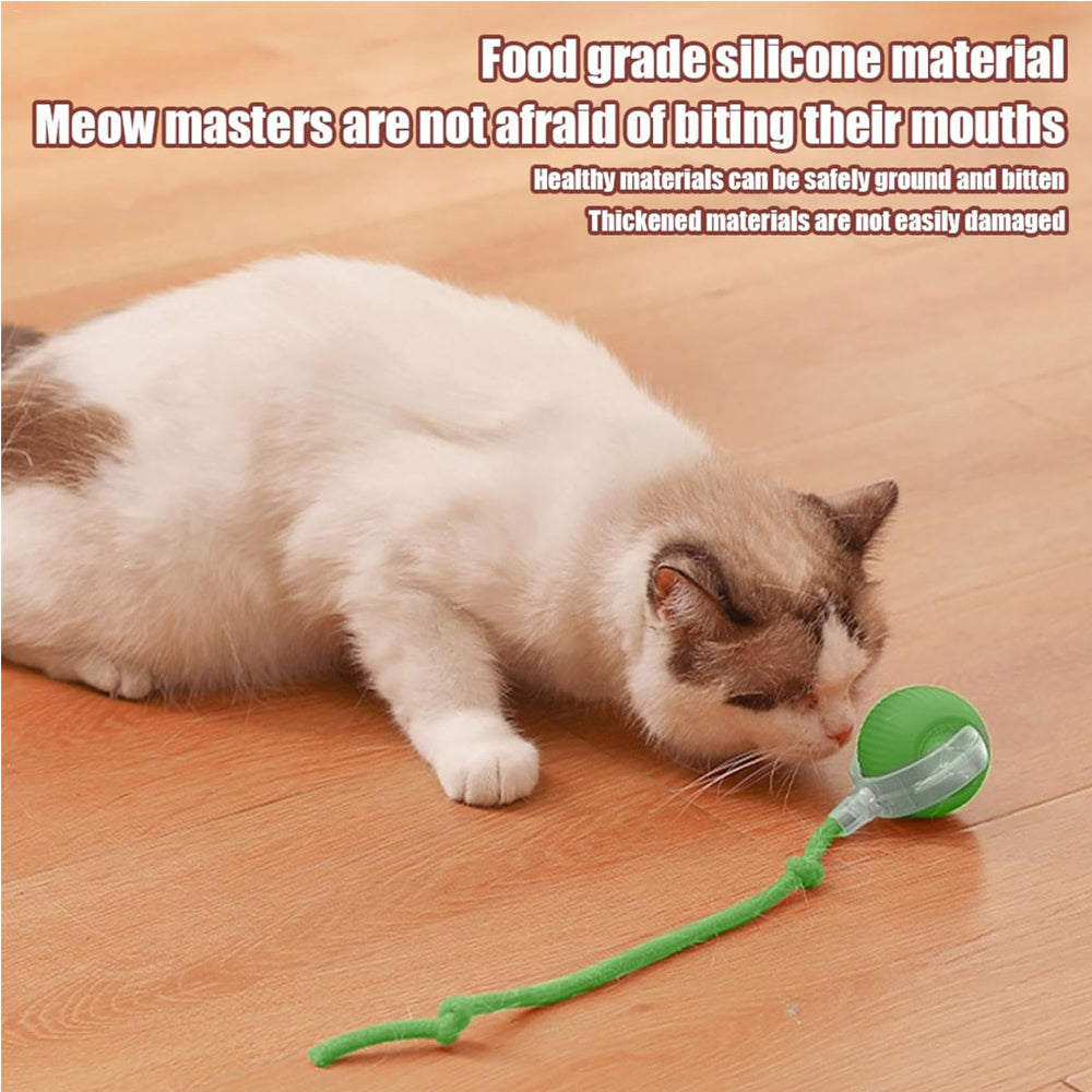 FurBuddy Smart Rolling Ball