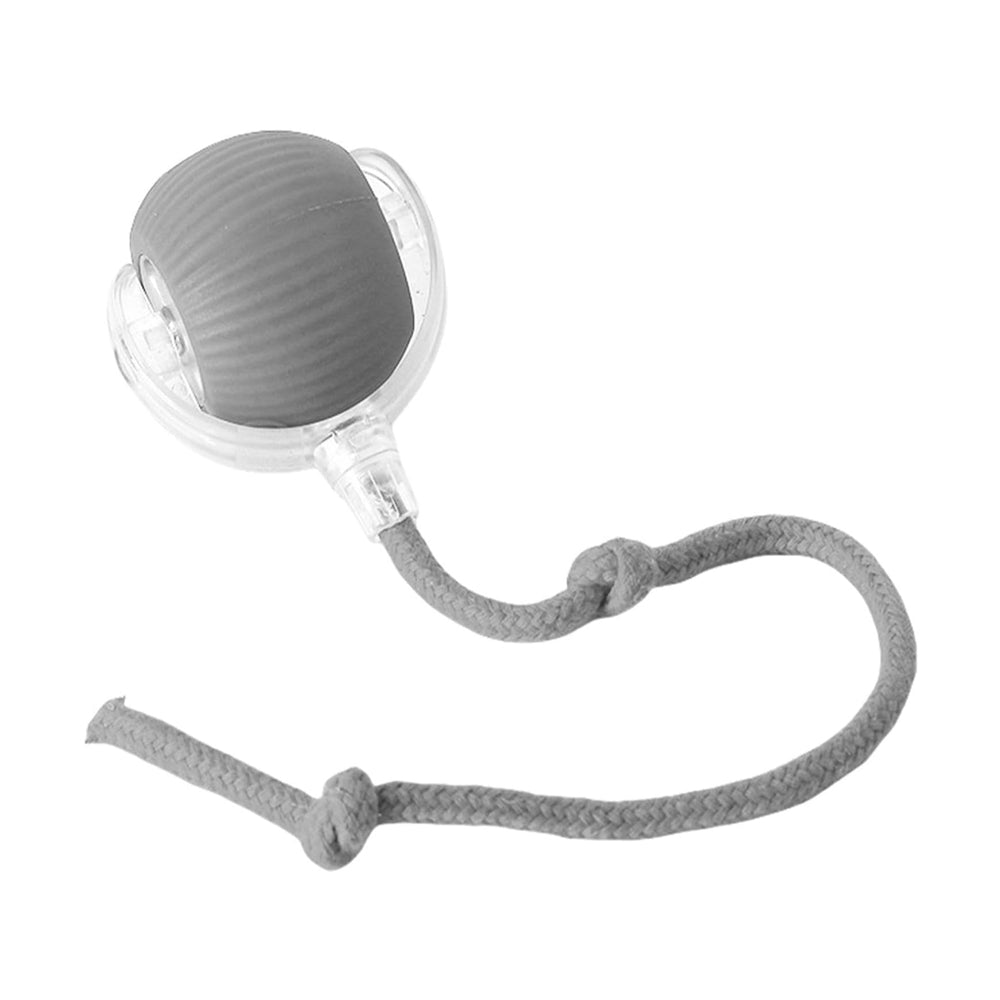 FurBuddy Smart Rolling Ball