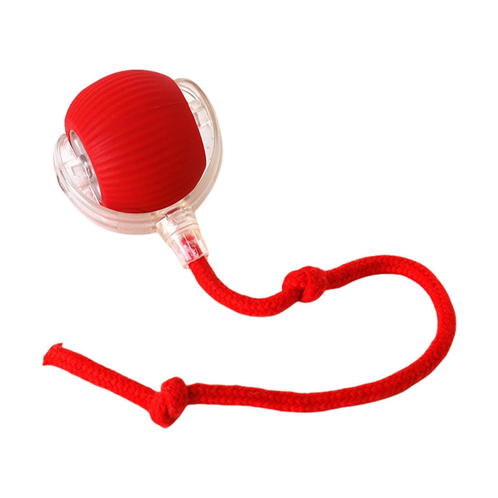 FurBuddy Smart Rolling Ball